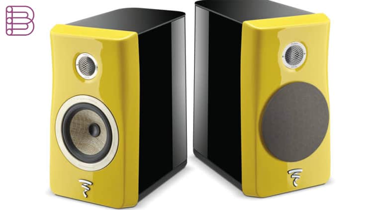focal kanta price